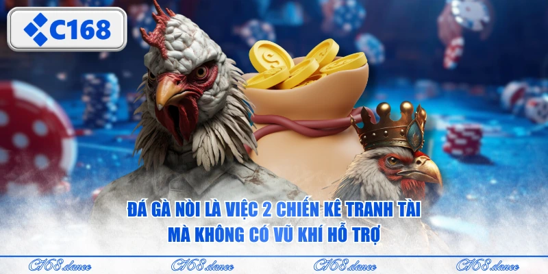 Đá gà nòi là việc 2 chiến kê tranh tài mà không có vũ khí hỗ trợ